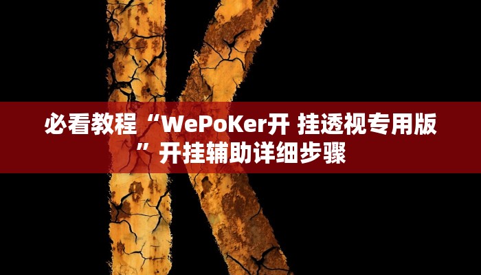 必看教程“WePoKer开 挂透视专用版”开挂辅助详细步骤