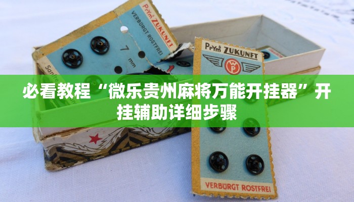 必看教程“闲聚大联盟透视挂”开挂辅助详细步骤