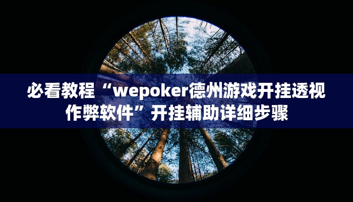 必看教程“wepoker德州游戏开挂透视作弊软件”开挂辅助详细步骤