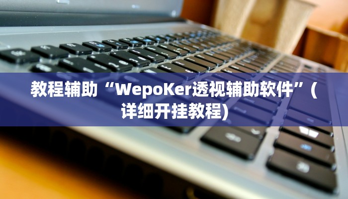 教程辅助“WepoKer透视辅助软件”(详细开挂教程)
