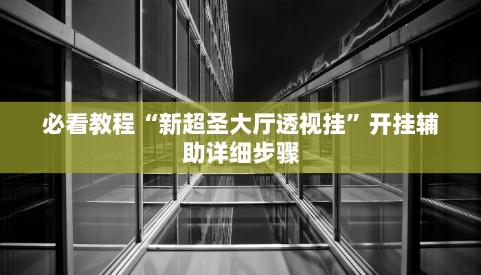必看教程“新超圣大厅透视挂”开挂辅助详细步骤