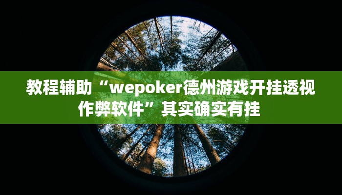 教程辅助“wepoker德州游戏开挂透视作弊软件”其实确实有挂 