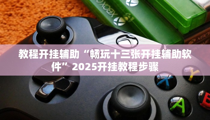 教程开挂辅助“畅玩十三张开挂辅助软件”2025开挂教程步骤