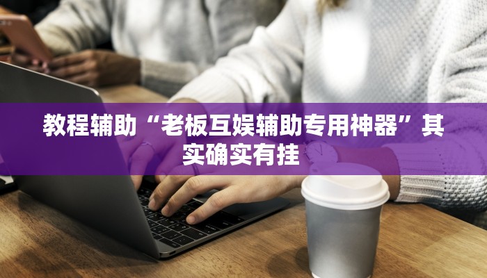 教程辅助“老板互娱辅助专用神器”其实确实有挂 