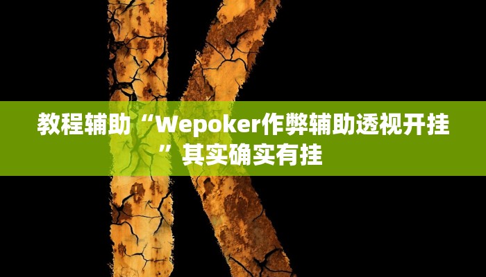 教程辅助“Wepoker作弊辅助透视开挂”其实确实有挂 