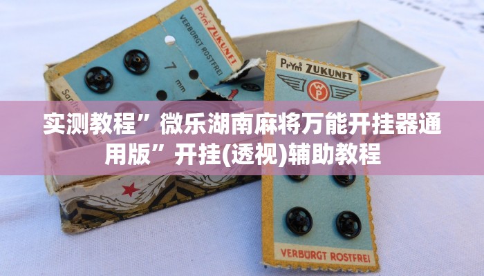 实测教程”微乐湖南麻将万能开挂器通用版”开挂(透视)辅助教程