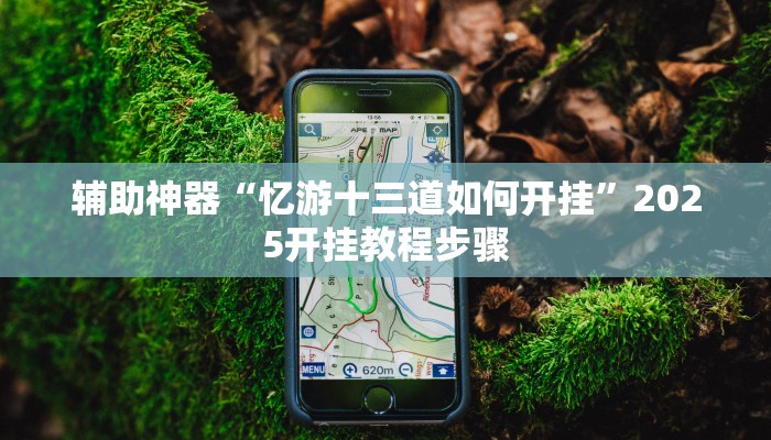 辅助神器“忆游十三道如何开挂”2025开挂教程步骤