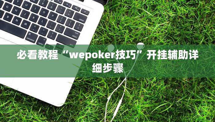 必看教程“wepoker技巧”开挂辅助详细步骤