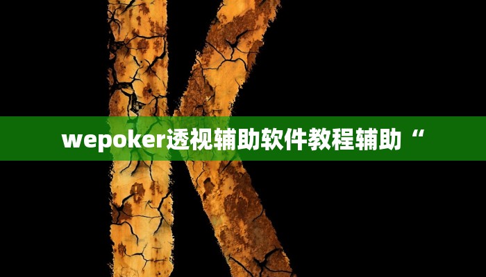 wepoker透视辅助软件教程辅助“