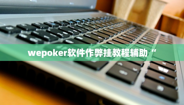 wepoker软件作弊挂教程辅助“