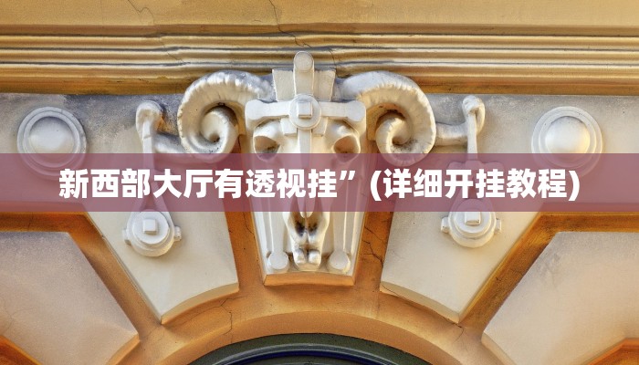新西部大厅有透视挂”(详细开挂教程)