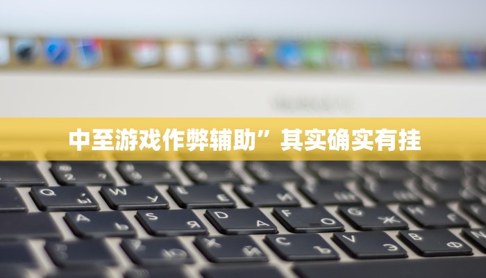 中至游戏作弊辅助”其实确实有挂