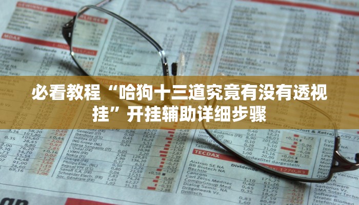必看教程“哈狗十三道究竟有没有透视挂”开挂辅助详细步骤