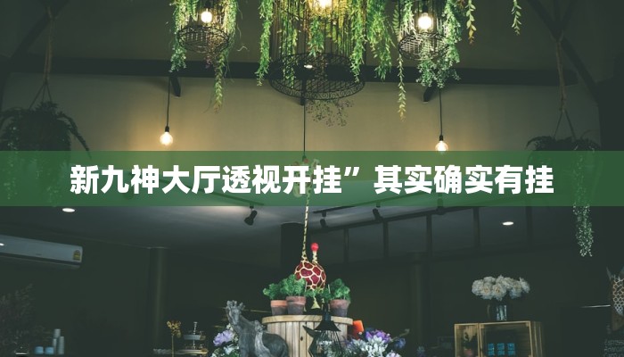 新九神大厅透视开挂”其实确实有挂