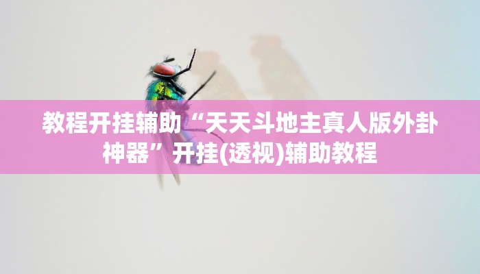 教程开挂辅助“天天斗地主真人版外卦神器”开挂(透视)辅助教程