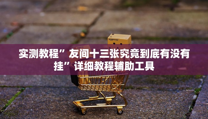 实测教程”友间十三张究竟到底有没有挂”详细教程辅助工具