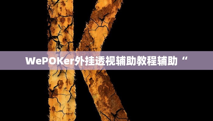 WePOKer外挂透视辅助教程辅助“