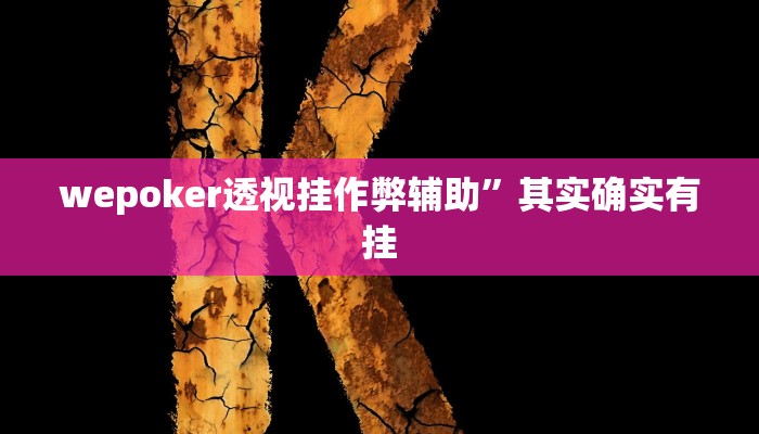 wepoker透视挂作弊辅助”其实确实有挂
