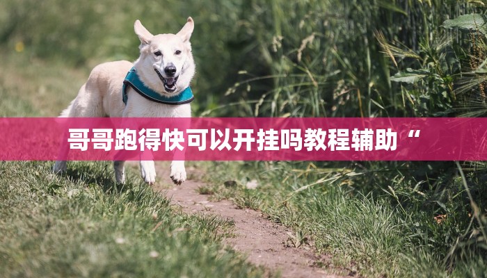 太浪扶余麻将开挂神器”其实确实有挂