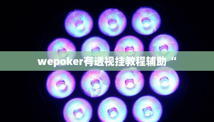 wepoker有透视挂教程辅助“
