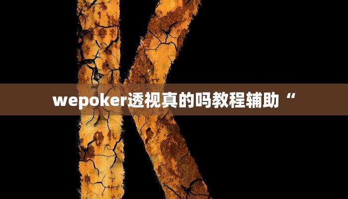 wepoker透视真的吗教程辅助“