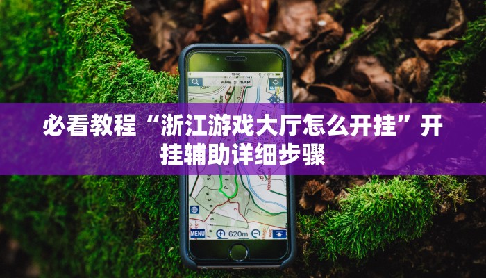 必看教程“浙江游戏大厅怎么开挂”开挂辅助详细步骤