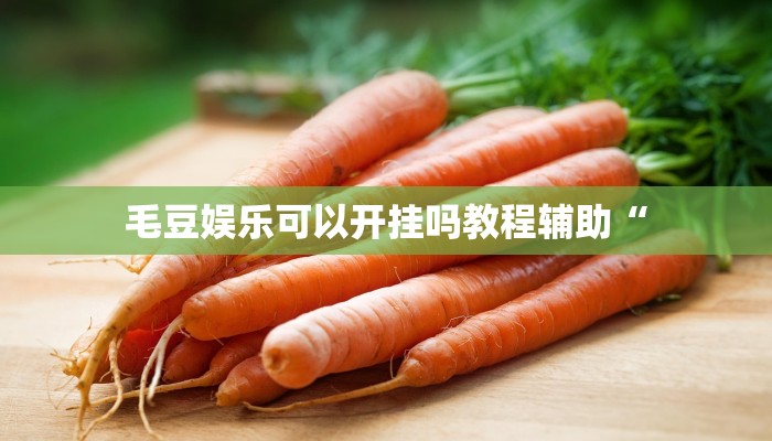 毛豆娱乐可以开挂吗教程辅助“ 毛豆娱乐可以开挂吗教程辅助“