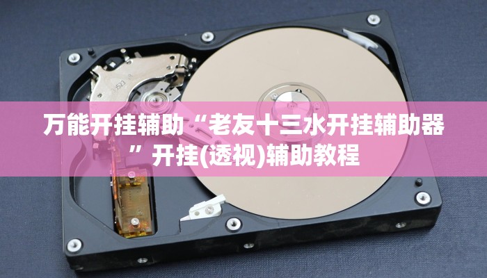 万能开挂辅助“老友十三水开挂辅助器”开挂(透视)辅助教程