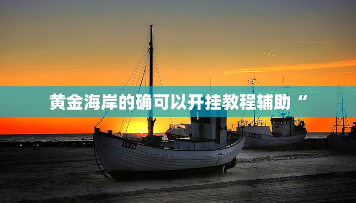 黄金海岸的确可以开挂教程辅助“ 黄金海岸的确可以开挂教程辅助“