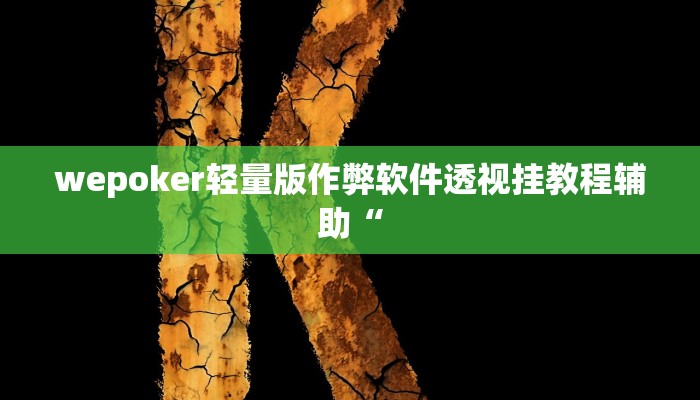 wepoker轻量版作弊软件透视挂教程辅助“
