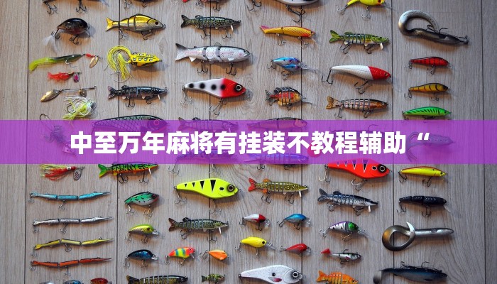 中至万年麻将有挂装不教程辅助“