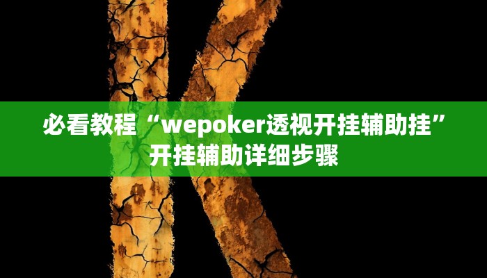 必看教程“wepoker透视开挂辅助挂”开挂辅助详细步骤
