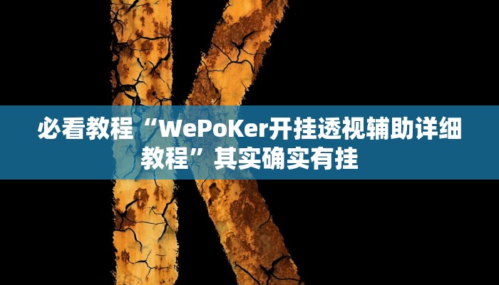 必看教程“WePoKer开挂透视辅助详细教程”其实确实有挂