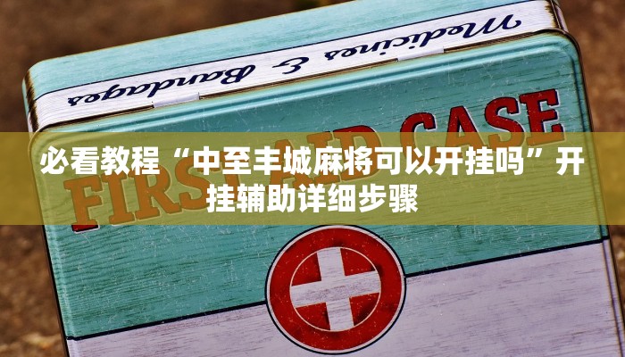 必看教程“中至丰城麻将可以开挂吗”开挂辅助详细步骤