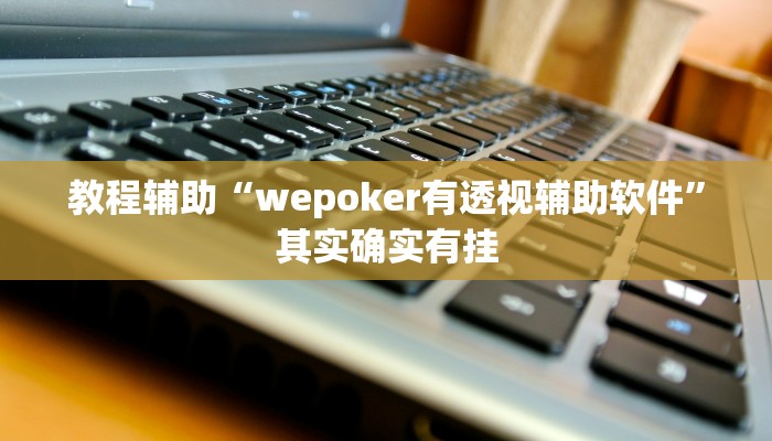 教程辅助“wepoker有透视辅助软件”其实确实有挂