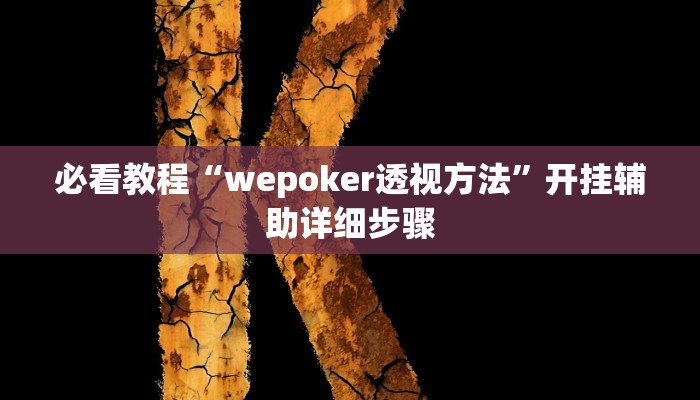 必看教程“wepoker透视方法”开挂辅助详细步骤