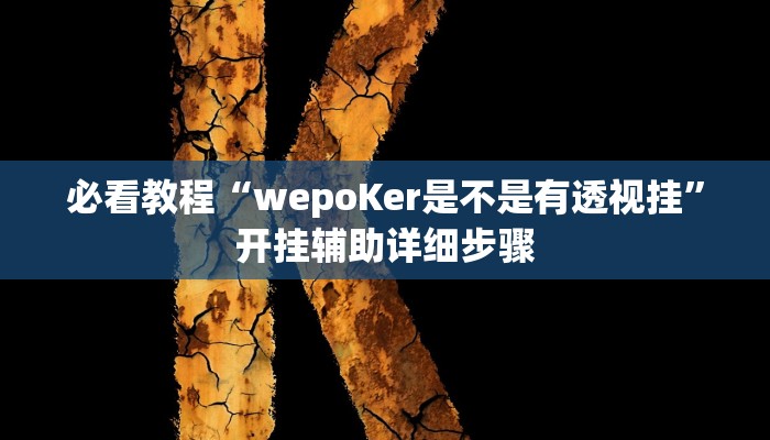 必看教程“wepoKer是不是有透视挂”开挂辅助详细步骤