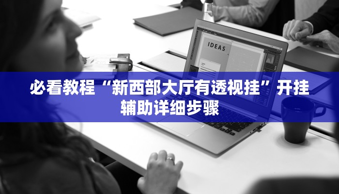 必看教程“新西部大厅有透视挂”开挂辅助详细步骤